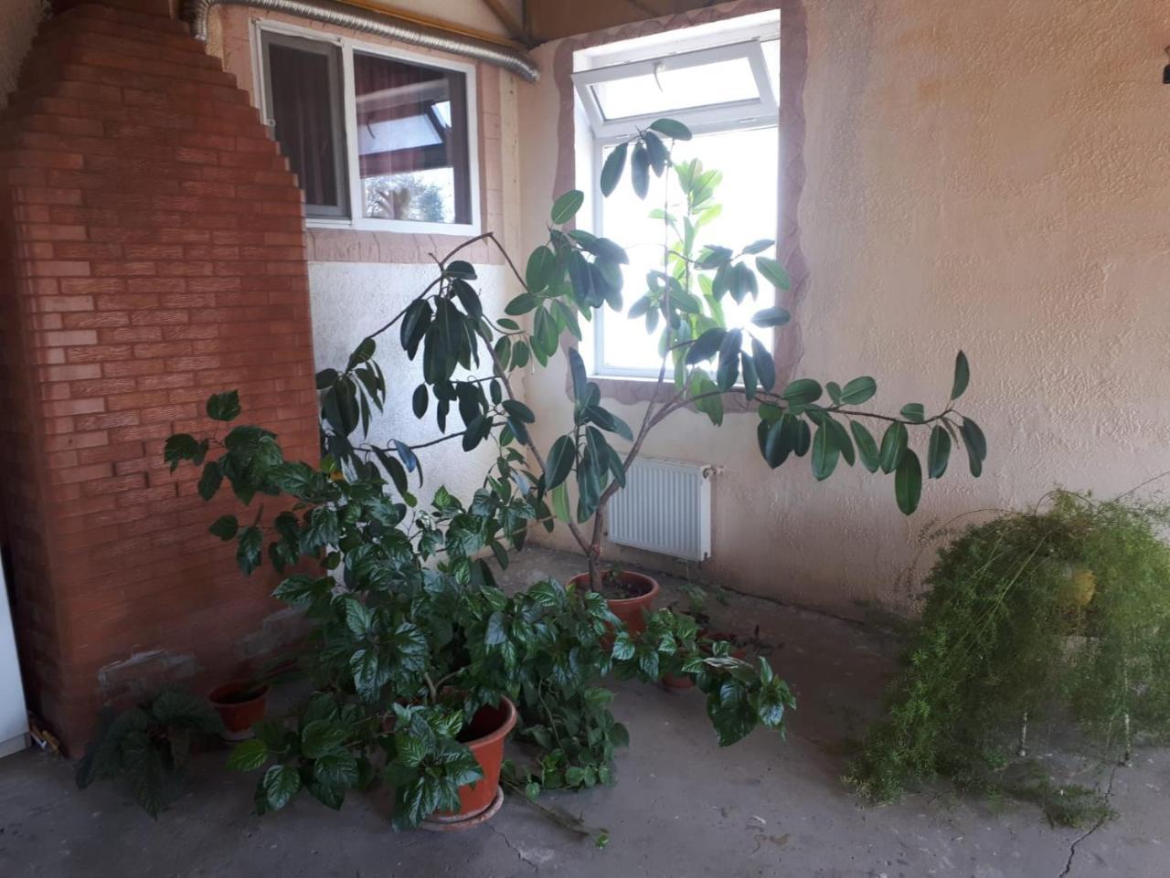 La Vitalie Guest House Chişinǎu Buitenkant foto